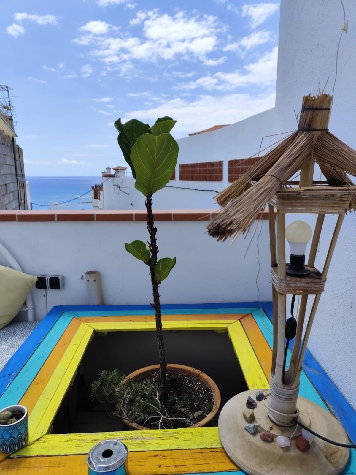 Hotel Banana Surf House Los Cristianos  Exteriér fotografie